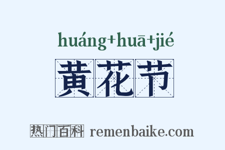 黄花节是什么意思的图片